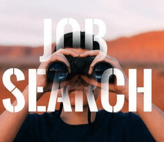 5 Job Search Basics That You Must Know Job search