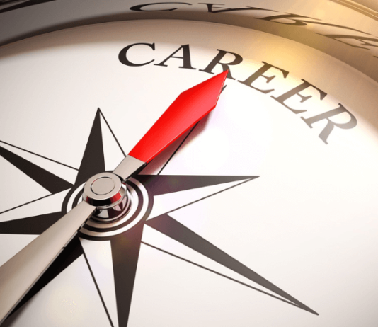 What is Career Planning? – 11 Strategies For A Successful Career Plan Successful Career Plan