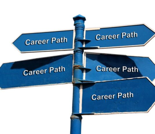 4 Questions That Will Help Choose your Career Path Choose-Your-Career-Path